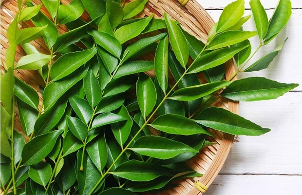 #curryleaves