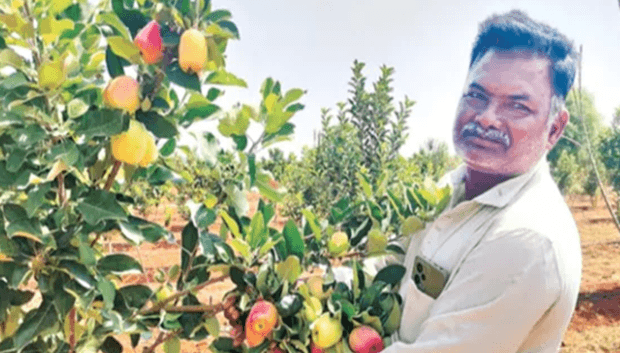 #AnanthapurApple