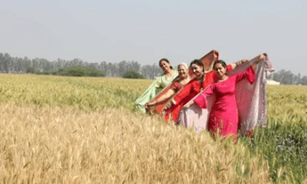 #PunjabFarmers